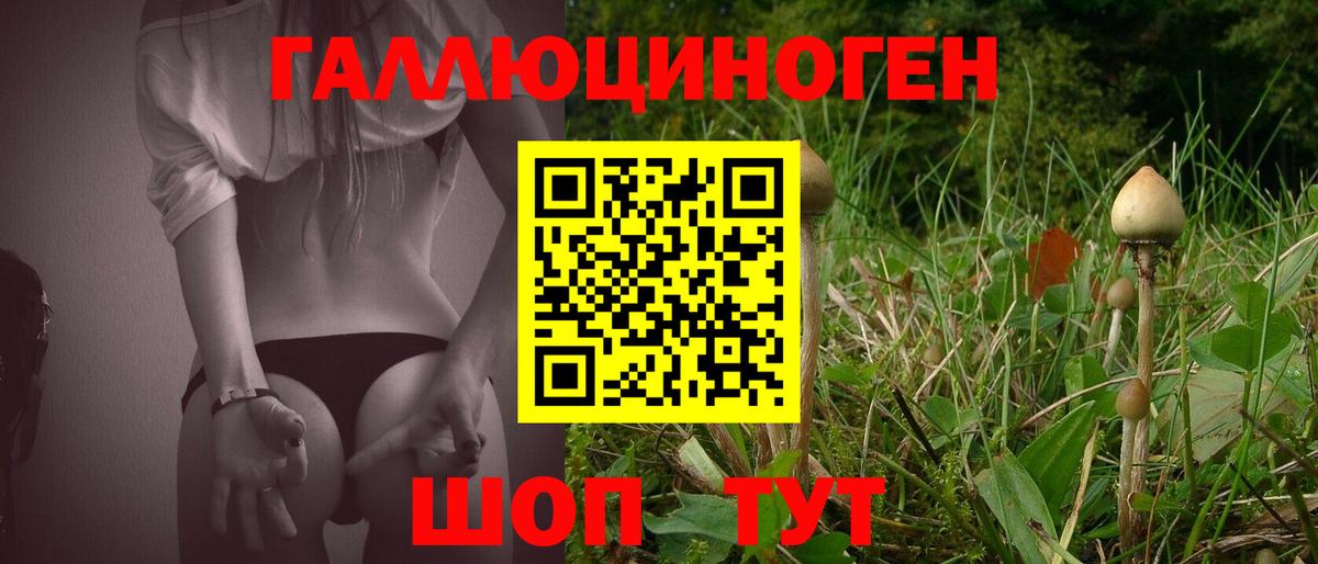Галлюциногенные грибы мицелий Аксай
